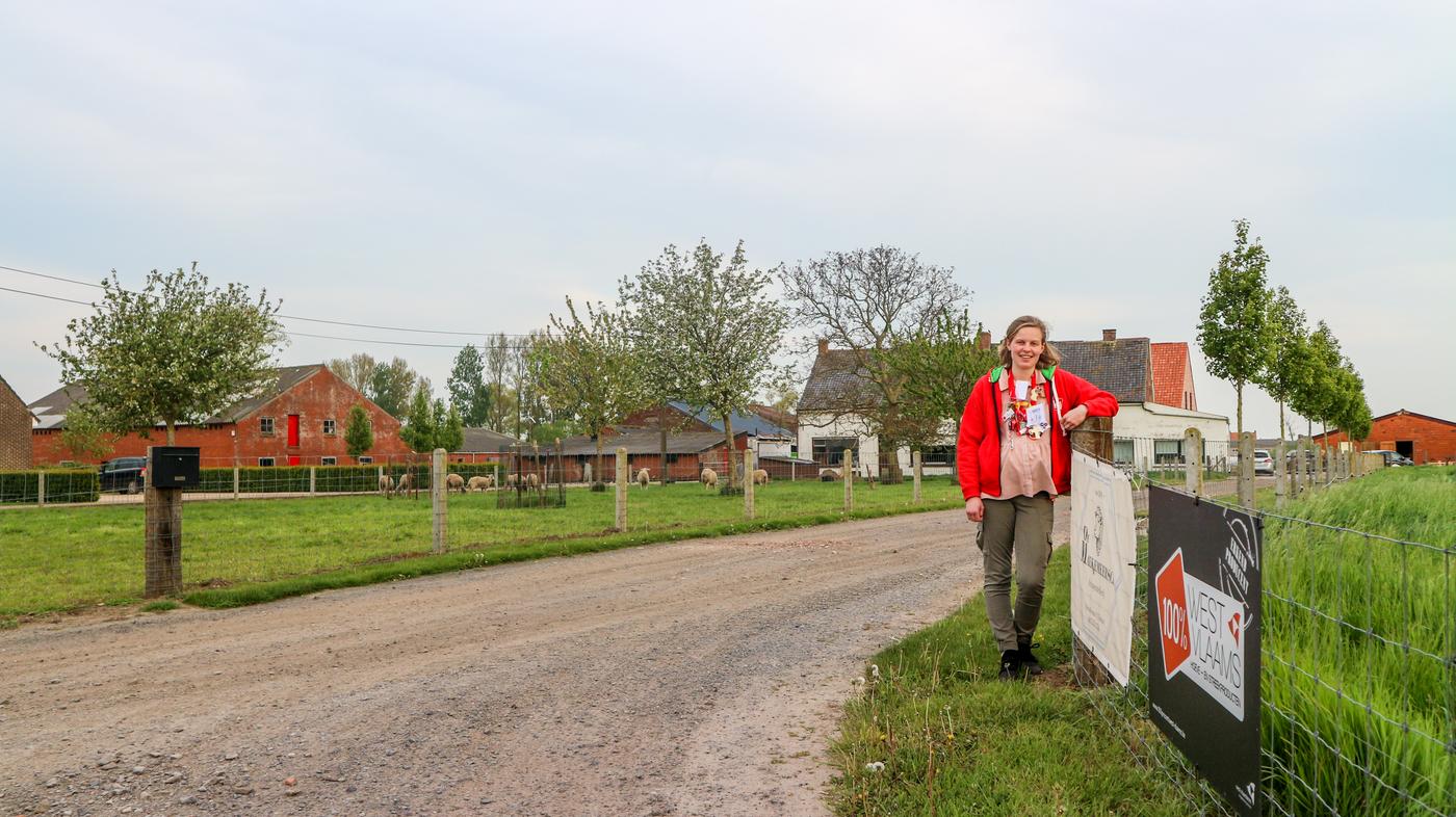 Schapenboerderij platteland